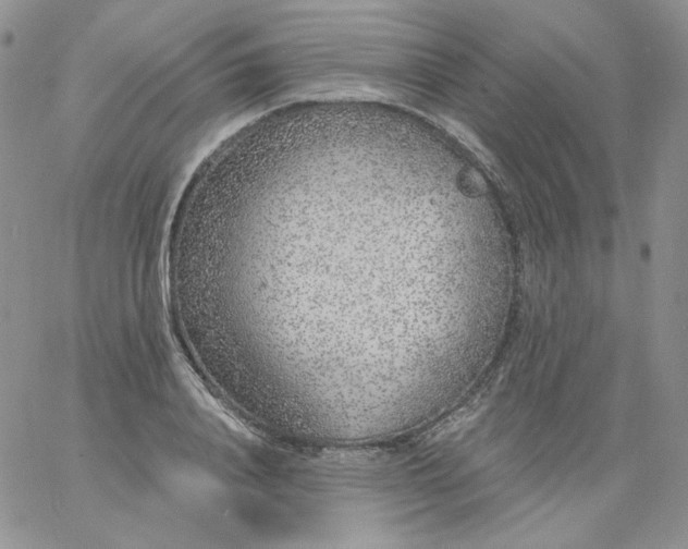 X0000060810840200511241933