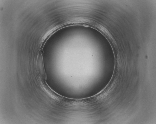 X0000060810842200511241933