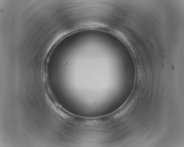 X0000060810843200511241933