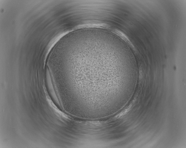 X0000060810844200511241933