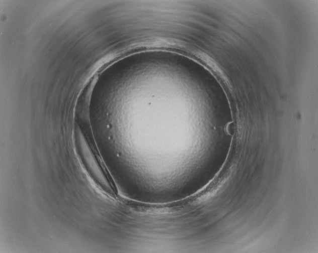 X0000060810845200511241933