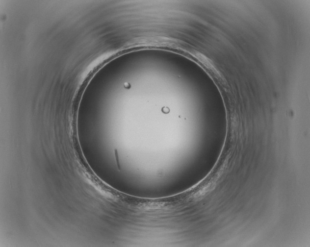 X0000060810846200511241933