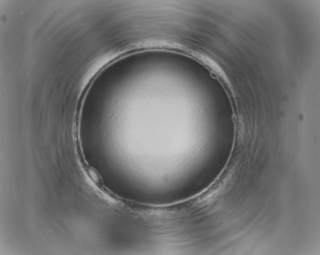 X0000060810847200511241933