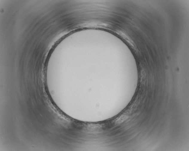 X0000060810848200511241933