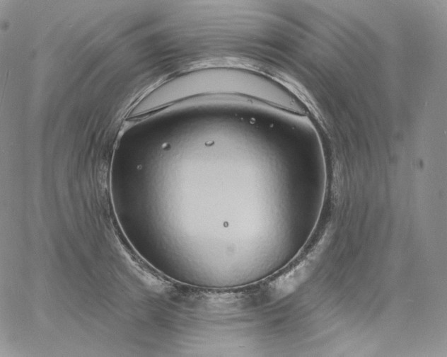 X0000060810849200511241933