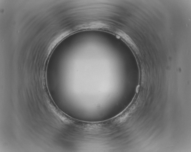 X0000060810850200511241933