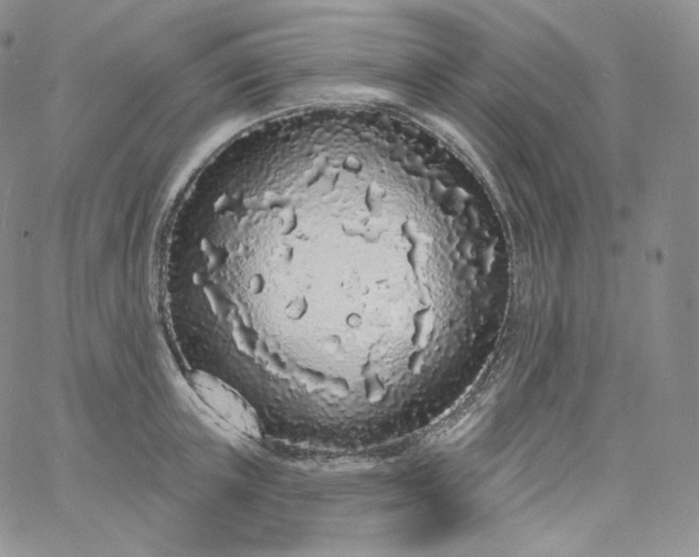 X0000060810851200511241933