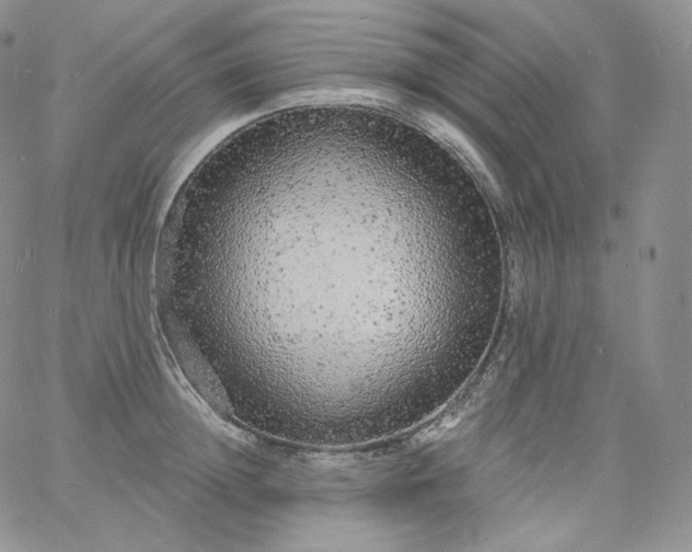 X0000060810852200511241933