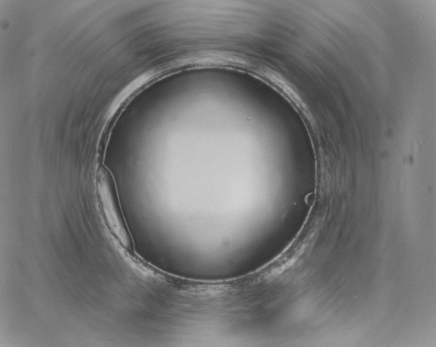 X0000060810853200511241933