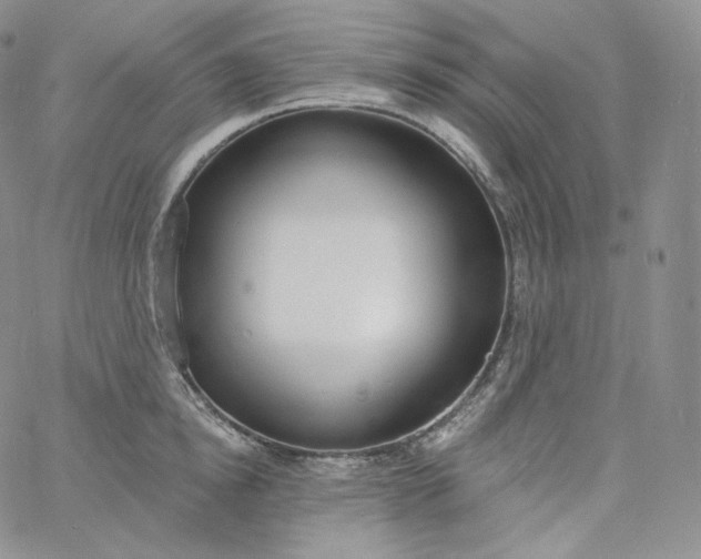 X0000060810854200511241933