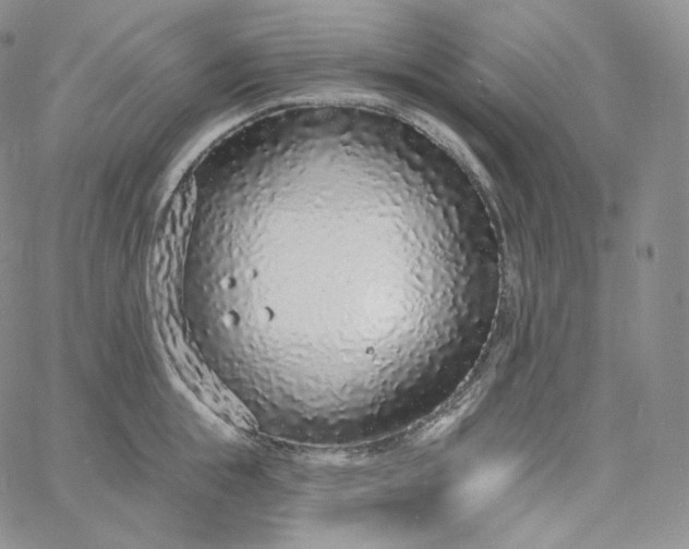 X0000060810855200511241934