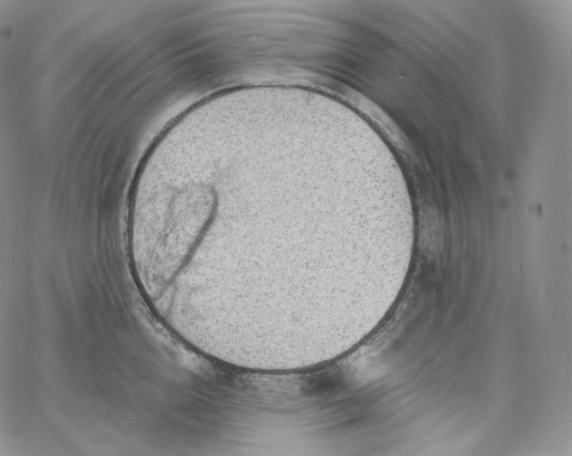 X0000060810856200511241934