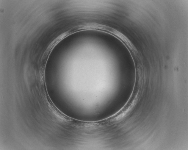 X0000060810857200511241934