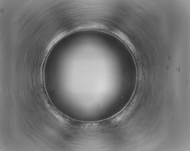 X0000060810858200511241934