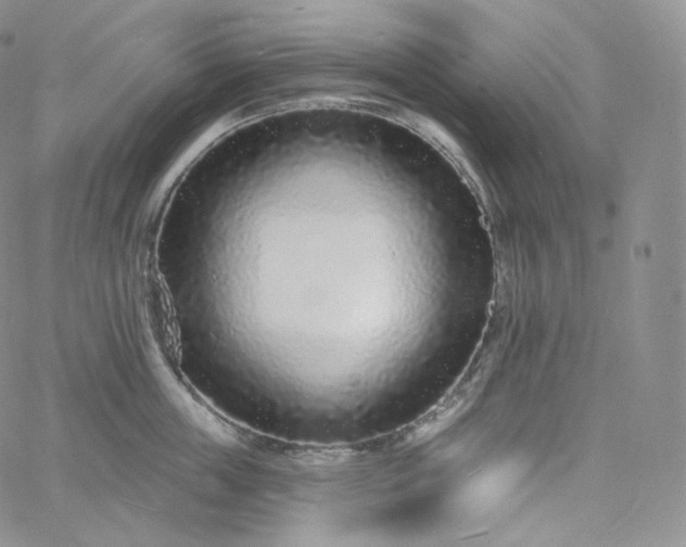 X0000060810859200511241934