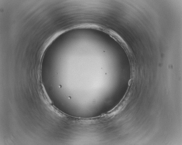 X0000060810860200511241934