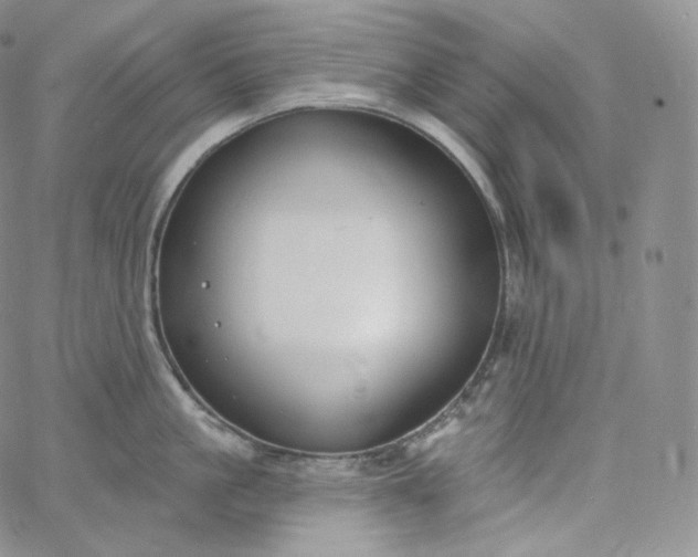 X0000060810861200511241934