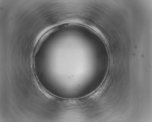 X0000060810862200511241934