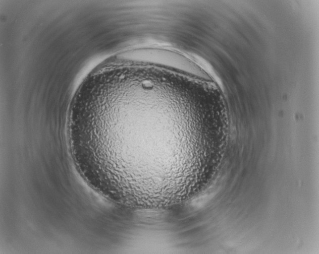 X0000060810863200511241934