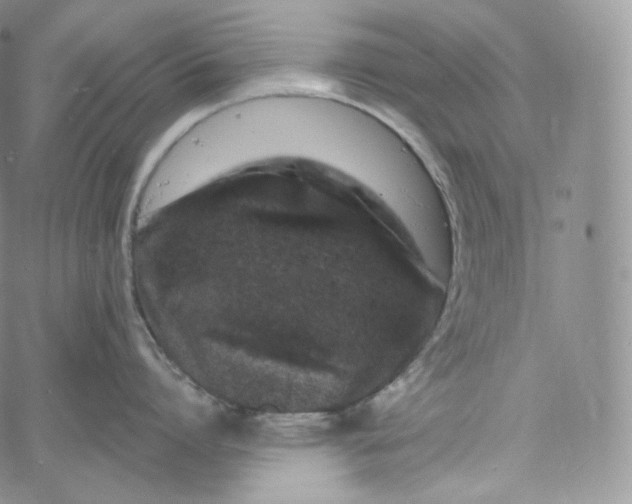 X0000060810864200511241934