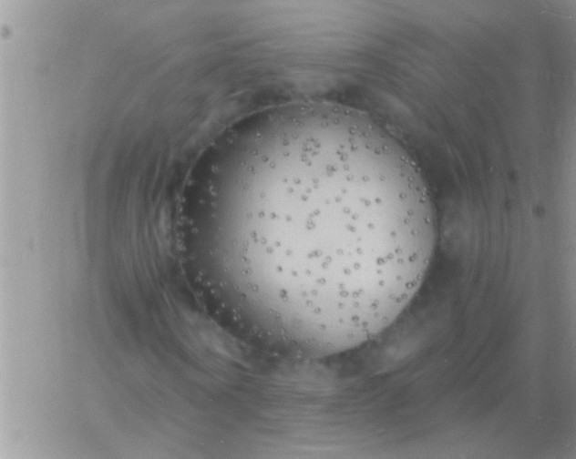 X0000060810866200511241933