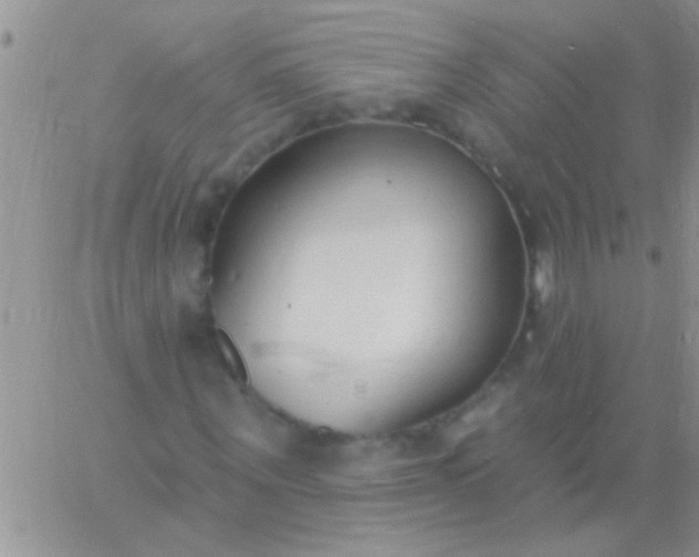 X0000060810867200511241933