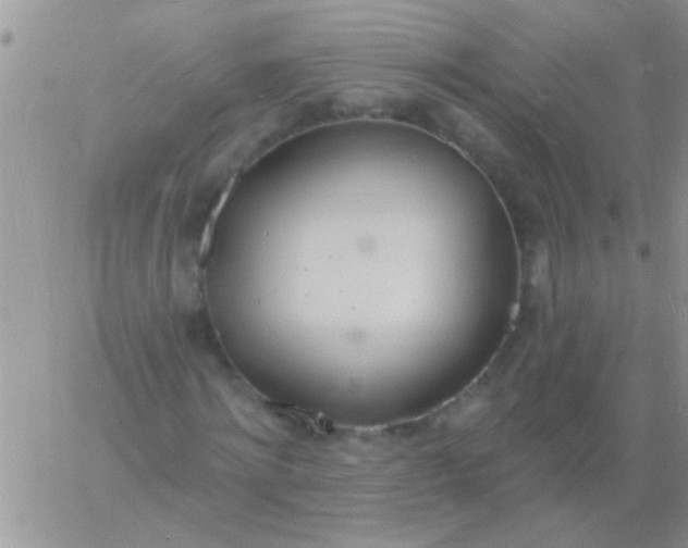 X0000060810868200511241933