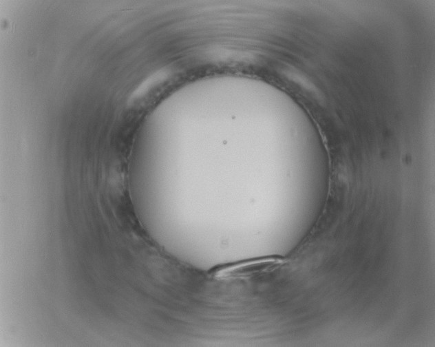 X0000060810869200511241933