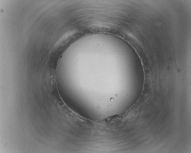 X0000060810870200511241933