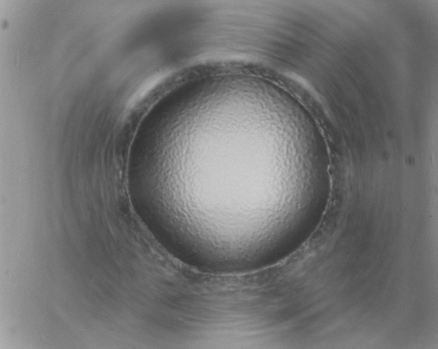 X0000060810871200511241933