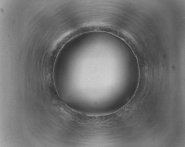 X0000060810872200511241933