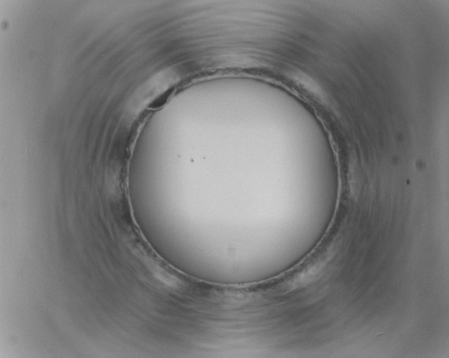 X0000060810873200511241933