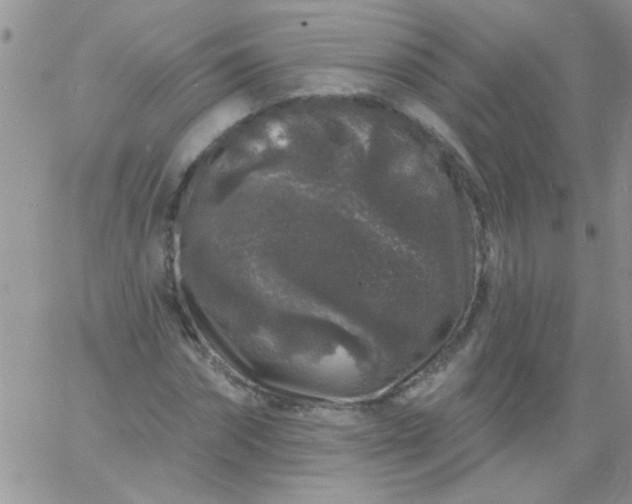 X0000060810874200511241933