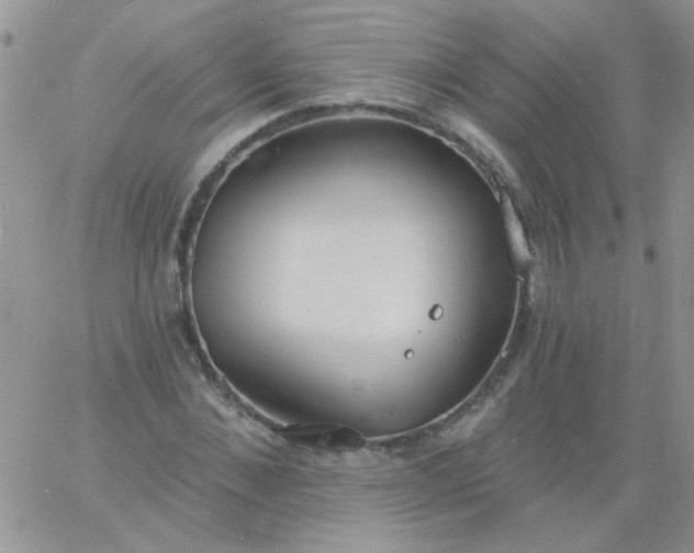 X0000060810876200511241933