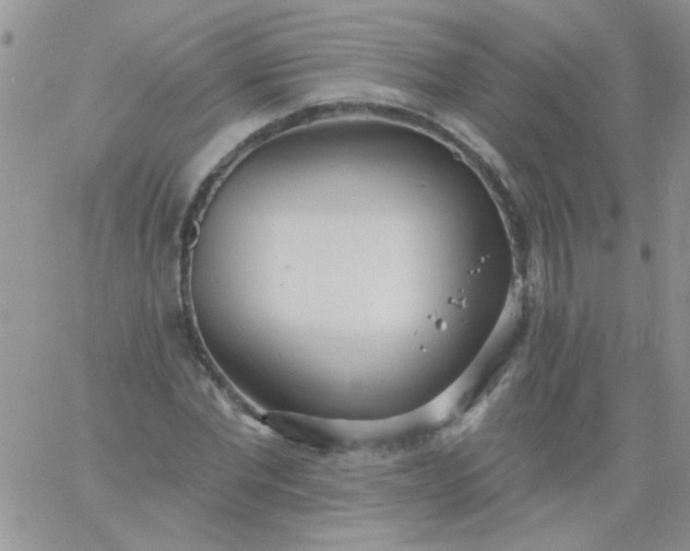 X0000060810877200511241933