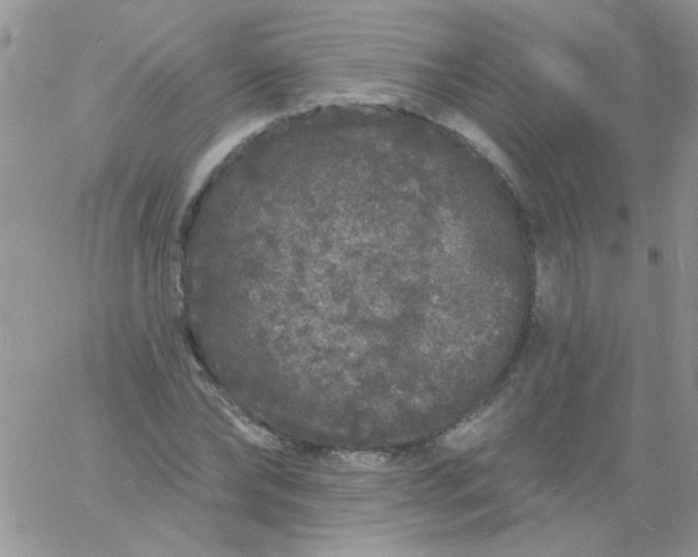 X0000060810878200511241933