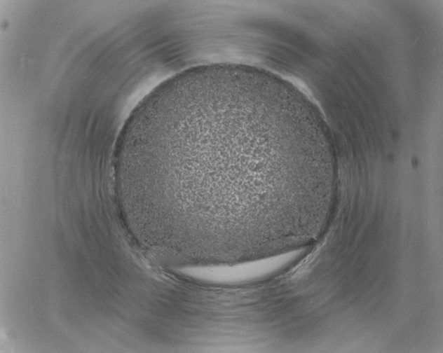 X0000060810879200511241933