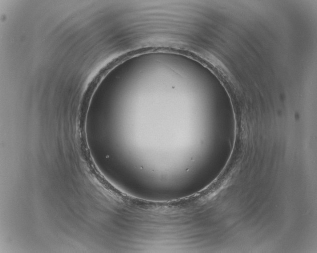 X0000060810880200511241933