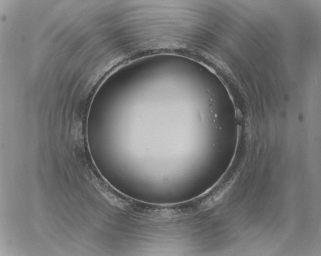 X0000060810881200511241933