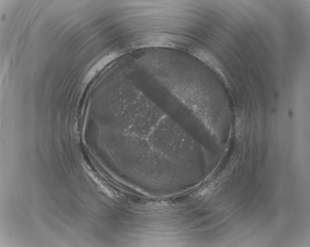 X0000060810882200511241933