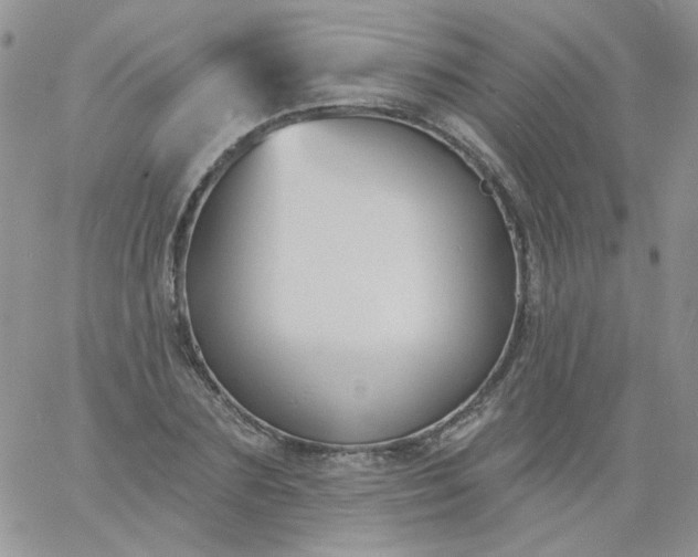 X0000060810883200511241933