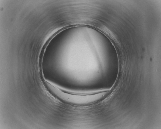 X0000060810884200511241933