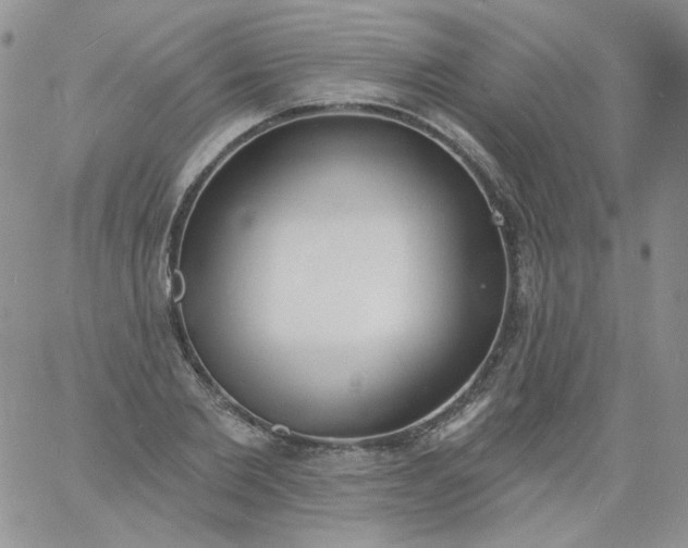 X0000060810885200511241933