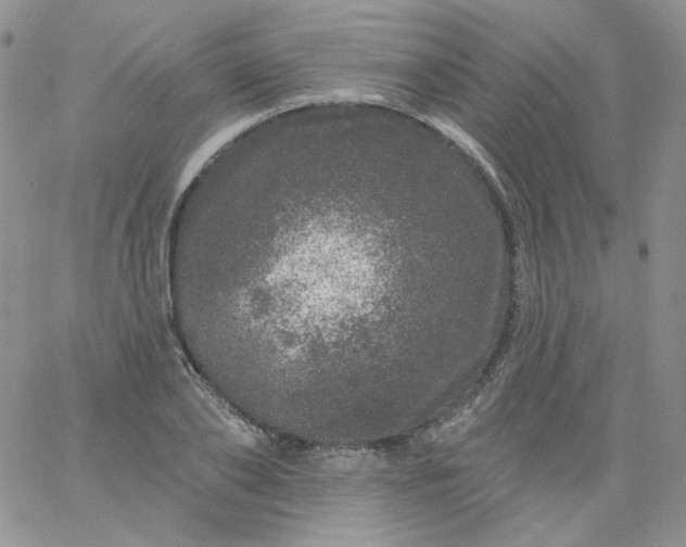 X0000060810886200511241933