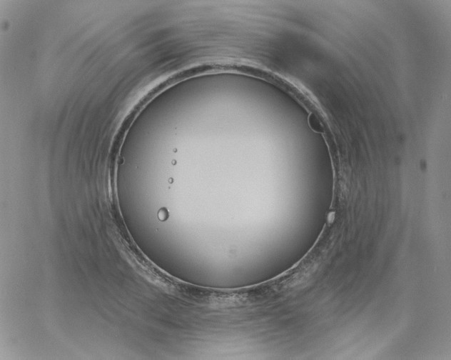 X0000060810887200511241933