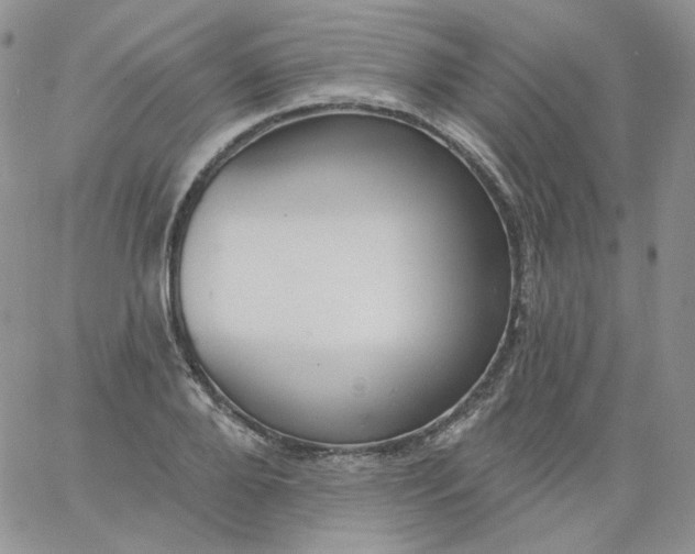 X0000060810888200511241933