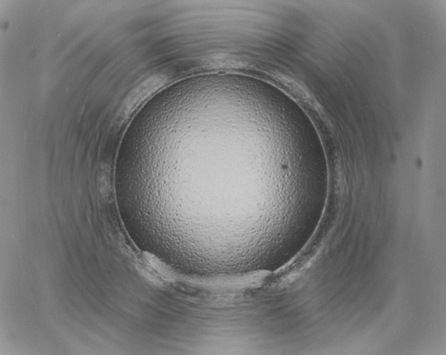 X0000060810889200511241932