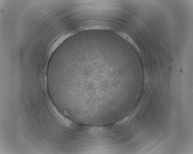 X0000060810890200511241932