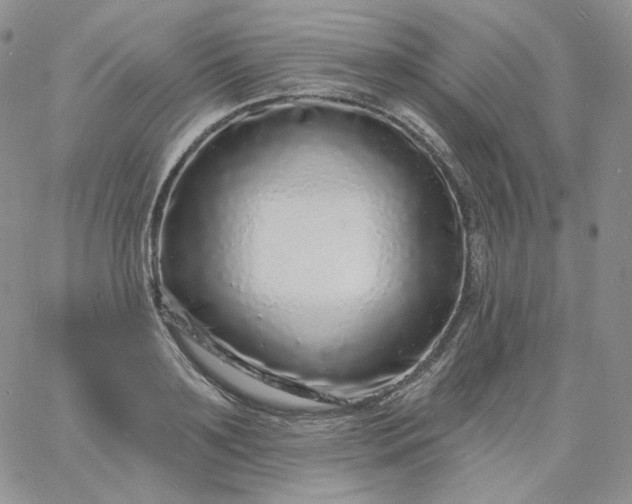 X0000060810891200511241932