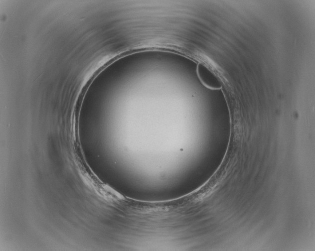 X0000060810892200511241932